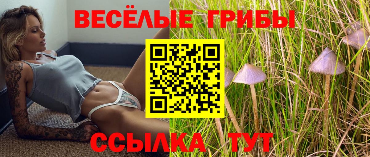 Псилоцибиновые грибы GOLDEN TEACHER  Вход с VPN  Чита  Псилоцибиновые грибы Psilocybine cubensis 
