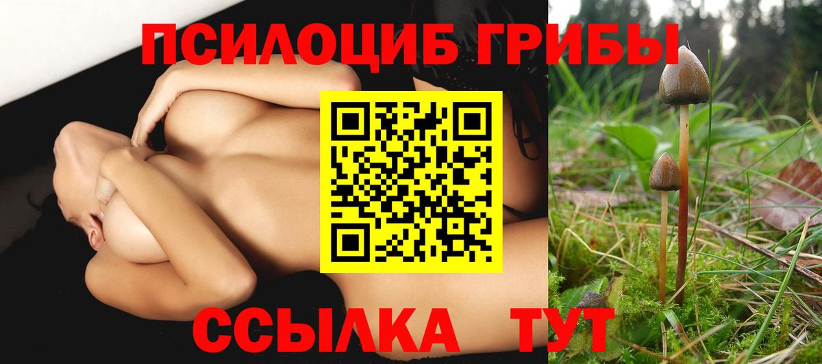 Галлюциногенные грибы мицелий Чита
